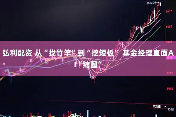 弘利配资 从“找竹竿”到“挖短板” 基金经理直面AI“缩圈”
